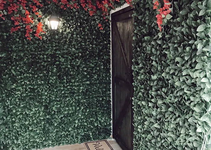 Fermaki - Adults Only *